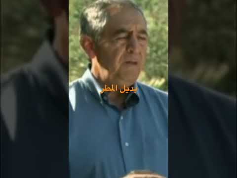 بدل المطر التقرير بتاريخ ٢١ ٨ ٢٠١٢