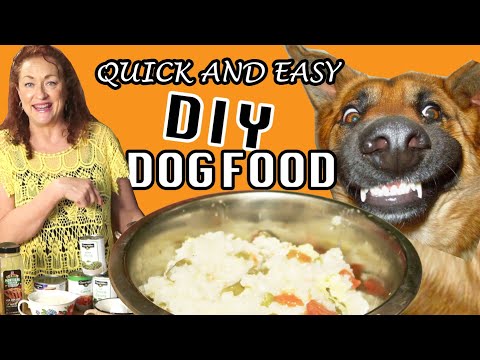 simple-diy-homemade-chicken-and-rice-dog-food-recipe