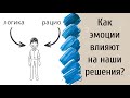 Как эмоции влияют на наши решения? | Книжный Сок