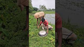 O.A The cow come and overturned the pot47483 O.A The cow come and overturned the pot47483