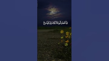 تلاوة هادئة تبكي القلوب من سورة يوسف | عبد العزيز سحيم Abdelaziz Sheim