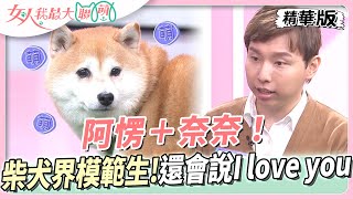 阿愣＋奈奈！柴犬界的模範生！還會說「I love you」秀才藝！ 女人我最大 20230717