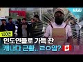 인도인들이 점령했다는 캐나다..1년에 100만 이민자 받다가 균열 시작됐다? | 크랩