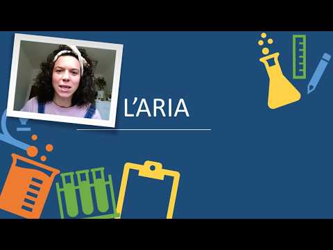 7 Esperimenti sull&rsquo; Aria - Scuola Primaria - Maestra Laura