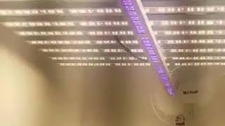 SunPlix UV LED grow light