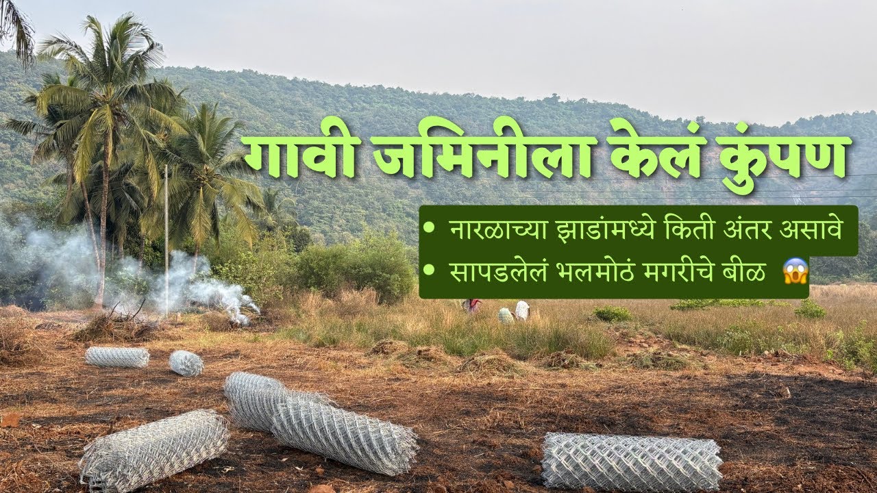 गावी जमिनीला कुंपण घालताना सापडलं भलमोठं मगरीचं बिळ | कोकण मंडणगड #kokan #village #farming #compound