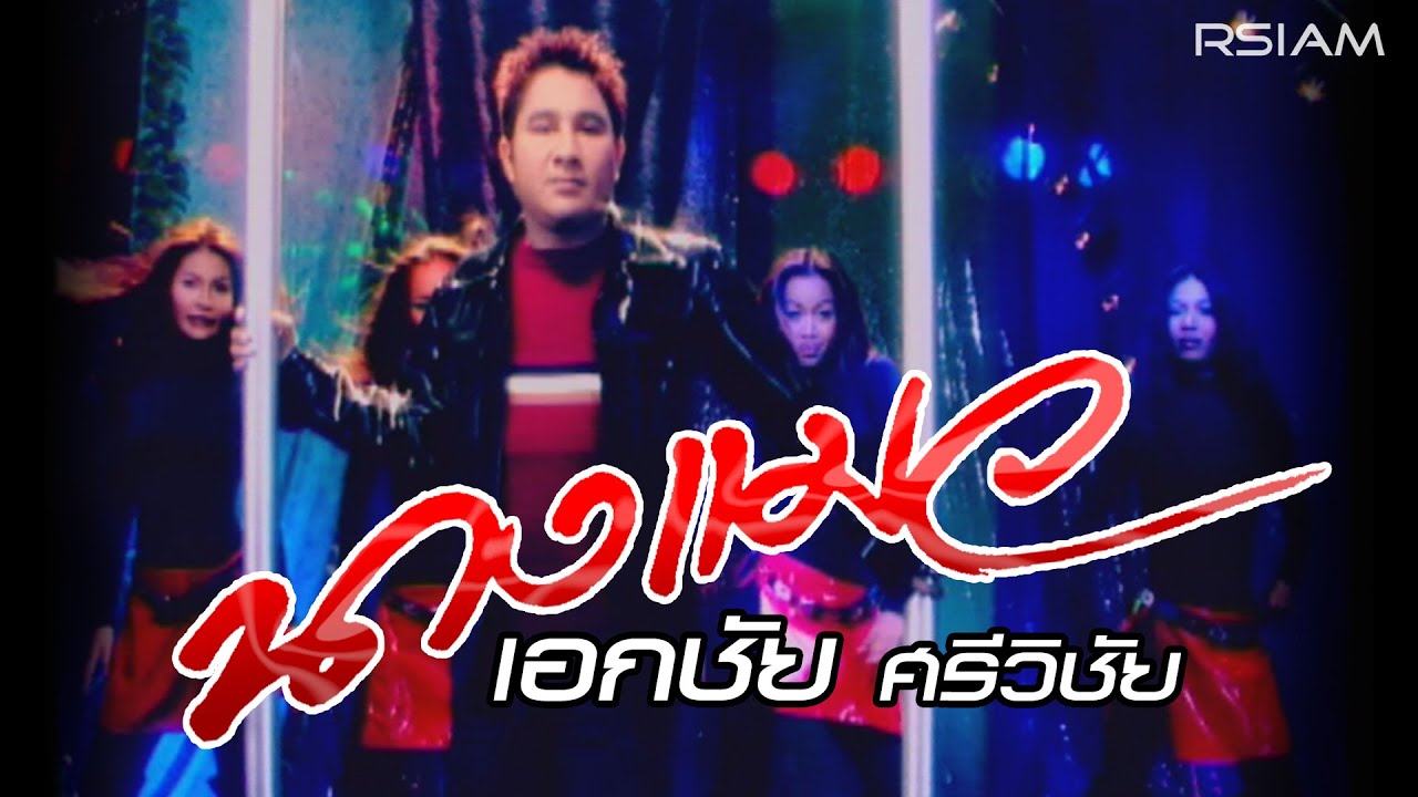 นางแมว : เอกชัย ศรีวิชัย [Official MV]