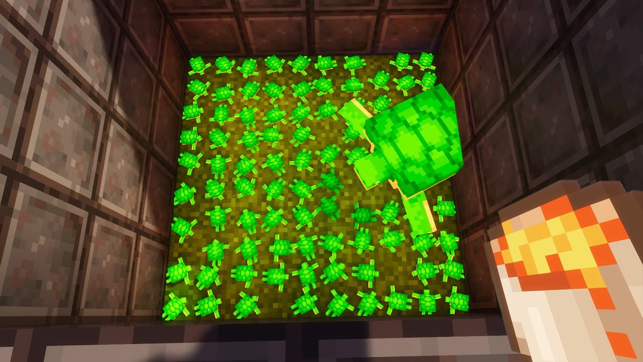 Why I Killed 10 000 Baby Turtles In Minecraft YouTube why-i-killed-10-000-baby-turtles-in-minecraft-youtube
