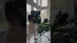 Setting up my Christmas tree