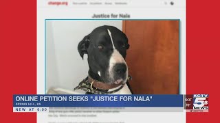 Online petition seeks justice for puppy allegedly shot by off-duty Olathe officer screenshot 2