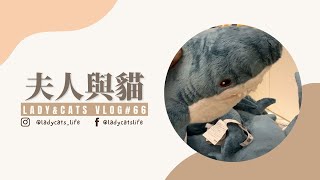 IKEA衣櫃收納／保養品收納／孕期保養-孕婦也能用的保養品【夫人與貓 / Lady & cats 🌹vlog#66🌹 】 by 夫人與貓／Lady & cats 164 views 1 year ago 10 minutes, 15 seconds