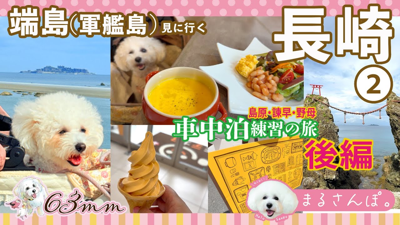 【まるさんぽ】長崎県＜2日目＞野母崎へ端島を見に行く！長崎市内を抜けて諫早の人気店へ【犬連れお出かけ】＜後編＞　#ボロニーズのMalu