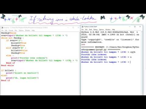 Python16 If setning inne i while løkke
