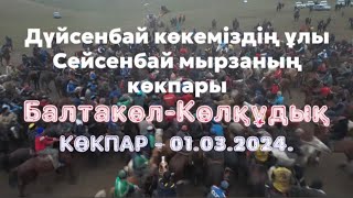 Балтакөл- Көлқұдық ауылы Асыловтар әулеті Дүйсенбай көкеміздің елден бата алу той көкпары 01 03 2024