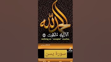 سورة يسن #اكسبلور #القزابري #الرحمن #دويتو #المصحف #duet #تيك_توك #حالات_واتس #quran #لايك