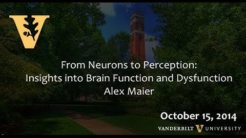 From Neurons to Perception: Insights into Brain Function and Dysfunction 10.15.2014