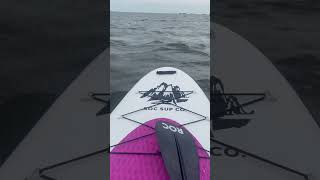 Unstoppable β¨ #rocpaddleboards #sup #suplife #paddle #adventure #florida #explore #love #wonder Unstoppable β¨ #rocpaddleboards #sup #suplife #paddle #adventure #florida #explore #love #wonder