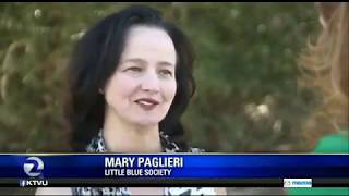 Mary Paglieri Little Blue Society San Francisco   Coyote Attack by Canis Amator 59 views 6 years ago 46 seconds