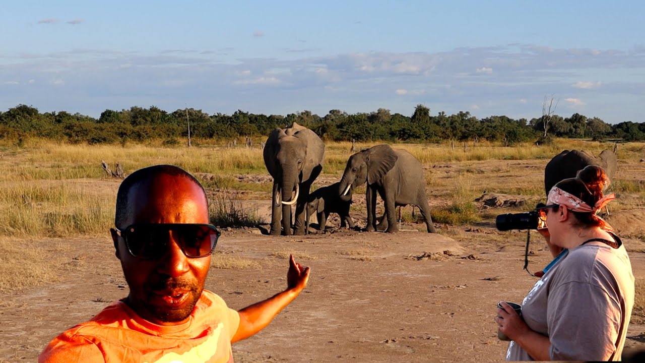 TAKING MY WIFE ON HER FIRST AFRICAN SAFARI: IS IT SAFE?