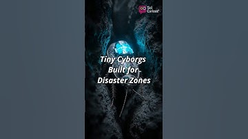 Cyborg Cockroaches Are Real — And They Save Lives