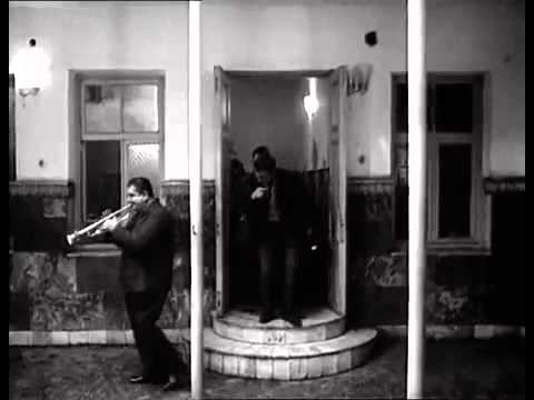 დღეიდან ვიწყებ მუშაობას