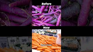 How Fruits Looked Before Humans