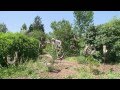 Jardin en Rhône Alpes - Le jardin de Maurice Laurent
