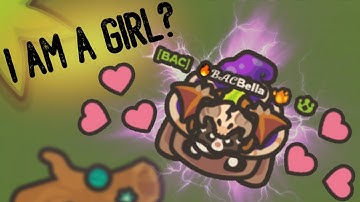 I PRETEND TO BE A GIRL IN TAMING.IO || FAIRY ABUSER? || MEMES