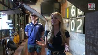 Laura Stickells Explores the Green Monster at Fenway Park