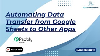 Celebrity Automating Data Transfer from Google Sheets to Other Apps Net Worth