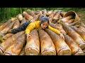 Rural Life Cooking Adventure | Fresh Chayote Harvest and Bone Soup Feast
