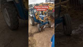 A Productive Afternoon On The Farm