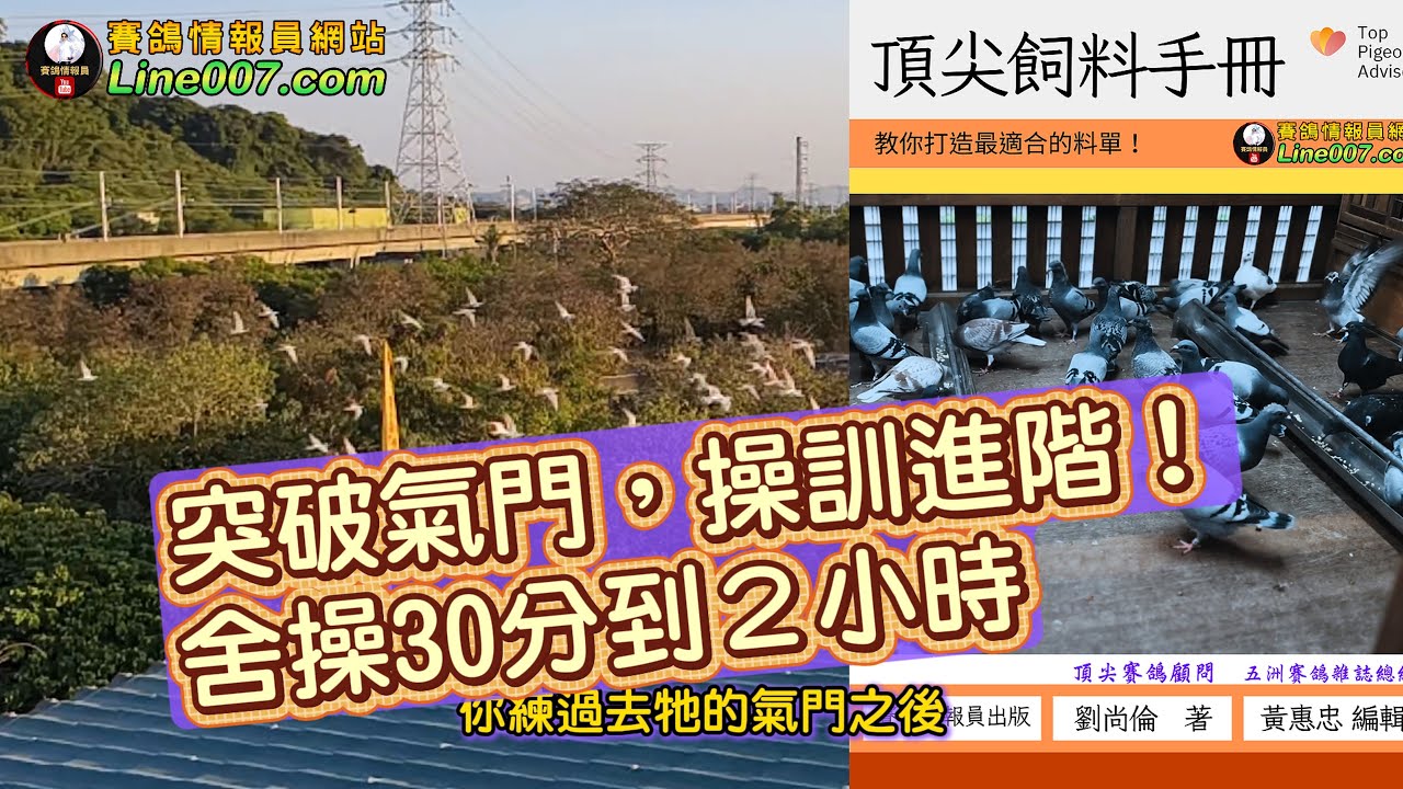 頂尖飼料手冊：飼手篇～突破氣門，操訓進階！舍操三十分到二小時半的關鍵眉角 #賽鴿 #幼鴿 #種鴿 #清除料 #綜合料 #細料 #單獨料 #頂尖賽鴿顧問 #劉尚倫 #鴿子 #鴿刊 #營養學