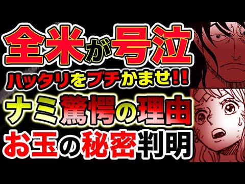 ワンピース 最新話衝撃感想 ナミ驚愕の理由 お玉の秘密判明 ハッタリをブチかませ 予想考察 Youtube