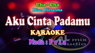 Download Lagu KARAOKE NADA PRIA CHA CHA - AKU CINTA PADAMU - Dian Piesesha MP3