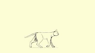 A Cat Walking And Sitting