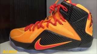 lebron witness 12