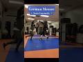 Langes Messer - Disarms and Throws Training #sword #martialarts #hema