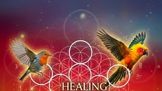THE SHOW:BIRD IN THE SANCTUARY CHIRP 🐦 TO HEAL #Digitalsantuary