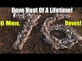 Dove Jackpot, You'd Think We Hit The Lottery! | KY Dove Hunt 2019