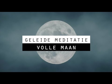 Video: Volle Maanlicht-geïnduceerde Circadiane Klok Meeslepen In Coffea Arabica