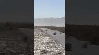 Insane Tumble weed storm in Eagle Mountain, Utah.