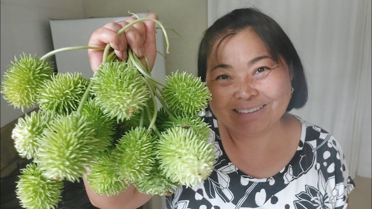 VOCÊS SABEM O QUE É ISSO, COLHI NA MINHA HORTA
