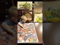 Ranking the Funniest Clumsy Kids #ranking #foryou #toddlers #fails