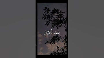 #ايات_من_القران #آيات #آيات_عطره_من_الذكر_الحكيم #راحة_نفسية #سورة_الفرقان الايه 43-47.. 🤍🤍