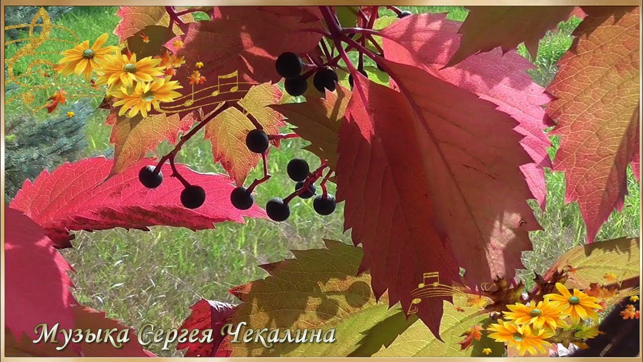 чекалин музыка для души. сергей чекалин сборник. музыка сергея чекалина золотая коллекция лучшее. сергей чекалин обложка. бабочка _ сергей чекалин.