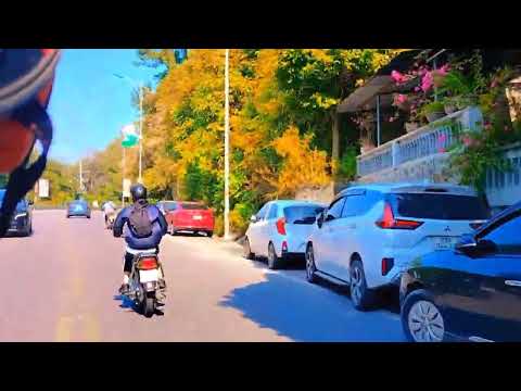 Video CHUYẾN ĐI CỦA THANH XUÂN _ Phượt đèo Tam Đảo cùng anh... - youtube
