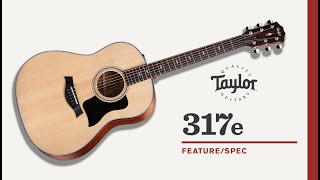 Taylor | 317e | Feature/Spec