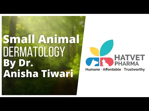 Hatvet's Webinar On Small Animal Dermatology - Part 1 (Edited Version)