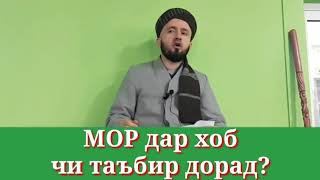 ✅МОР дар хоб чи маъно дорад. Домулло Абдулкодир